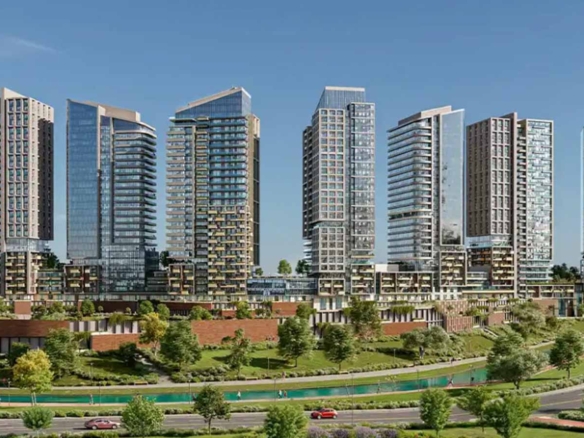 Apartments with Belgrad Forest Views